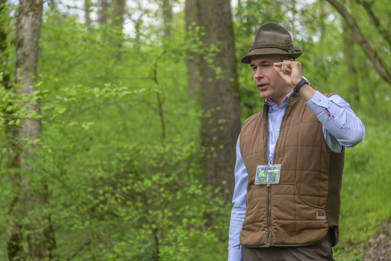 Ehető Erdő program Bózsó Gyula