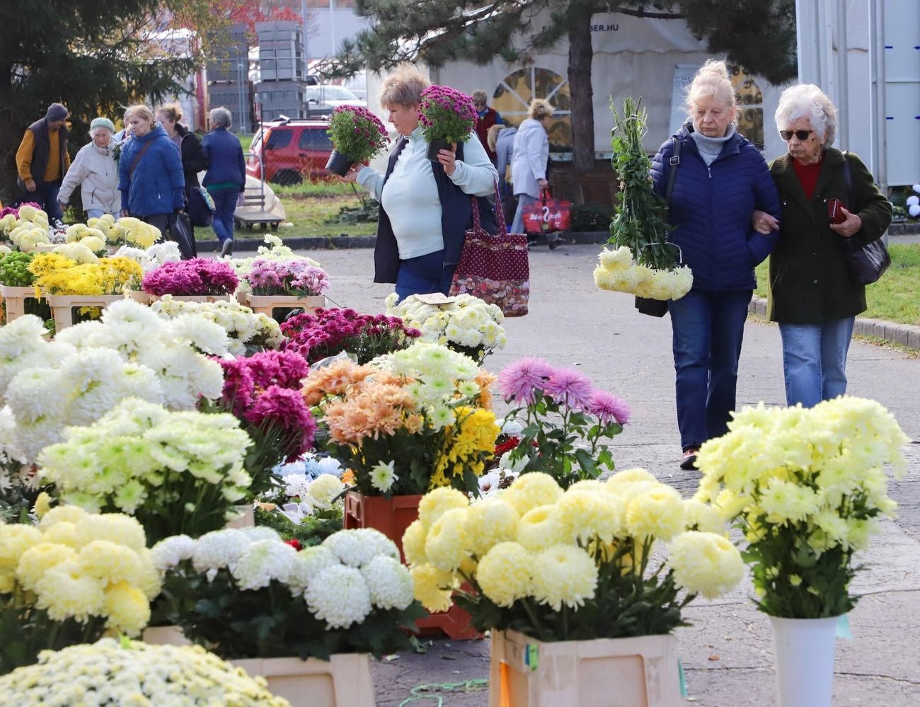 Temetői riport, Mocsi