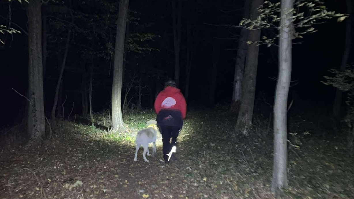 eltűnt keresés neptun