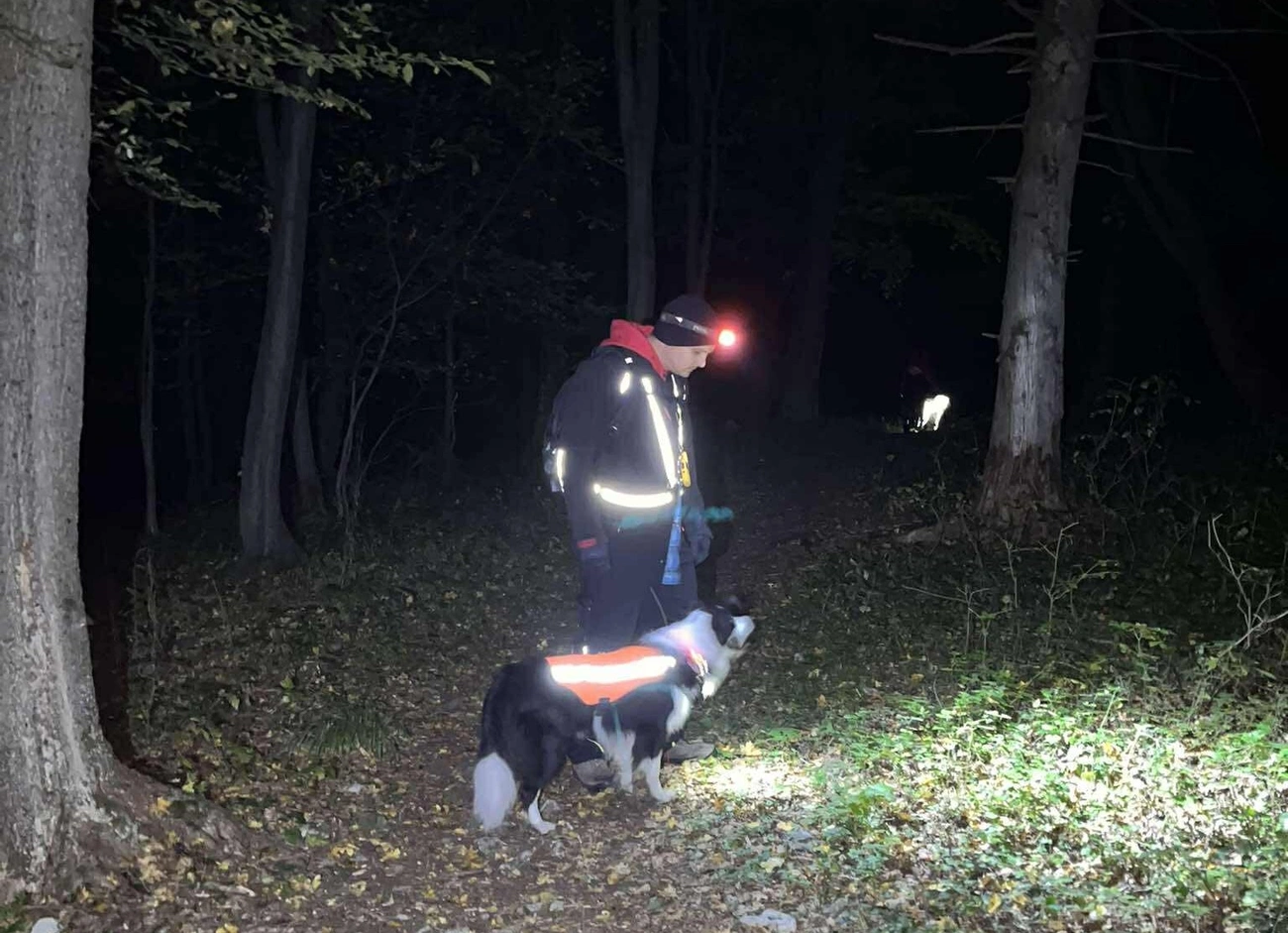 kutyás keresés erdőben, Neptun Mentőcsapat Facebook