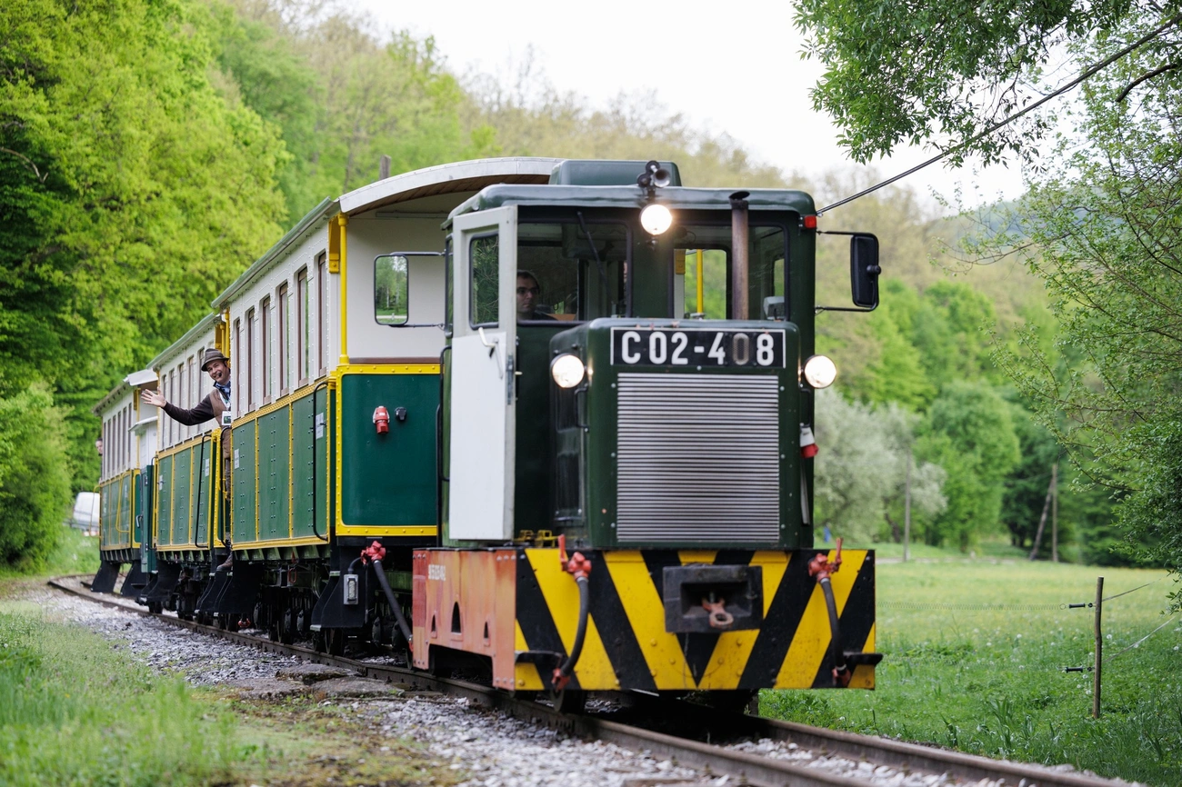 Ehető Erdő Gasztroexpressz