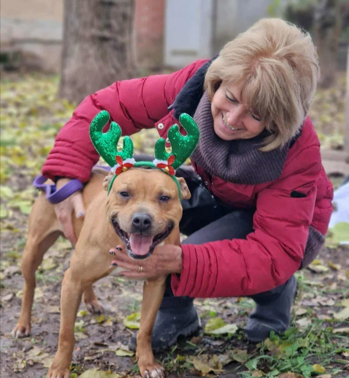 Szabó Judit, az MME elnöke kutyussal, Facebook
