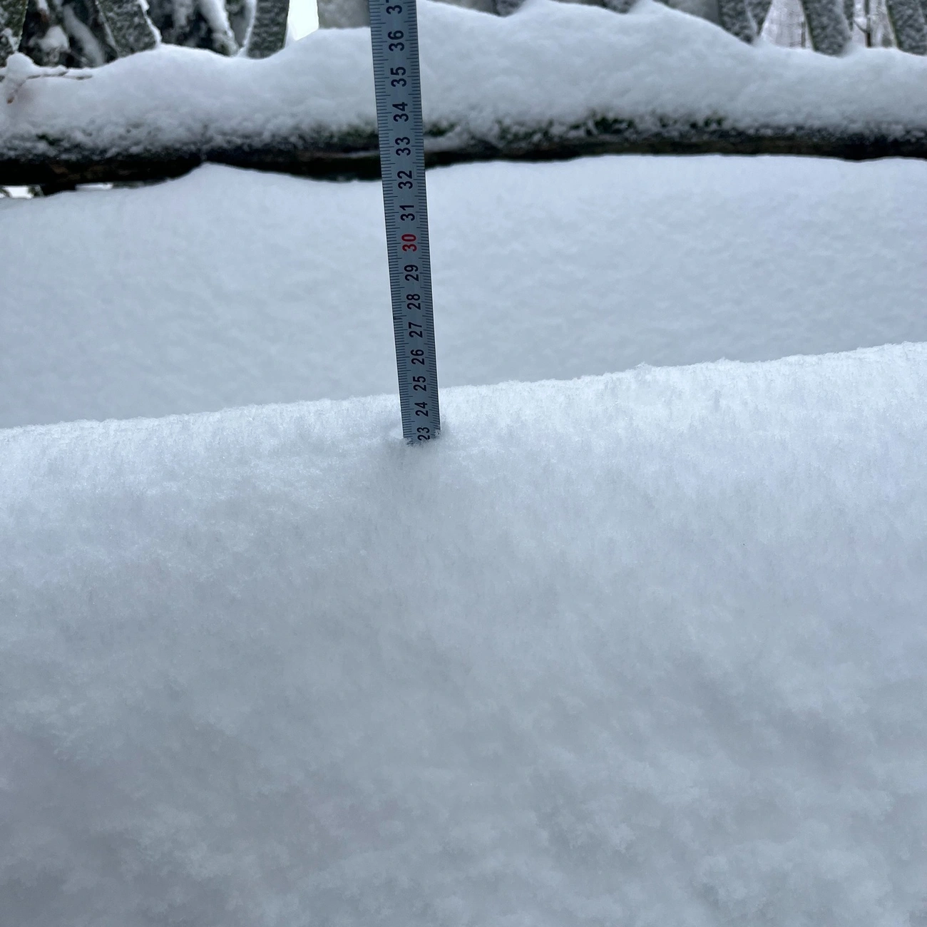 Az első hó 2025 november 22