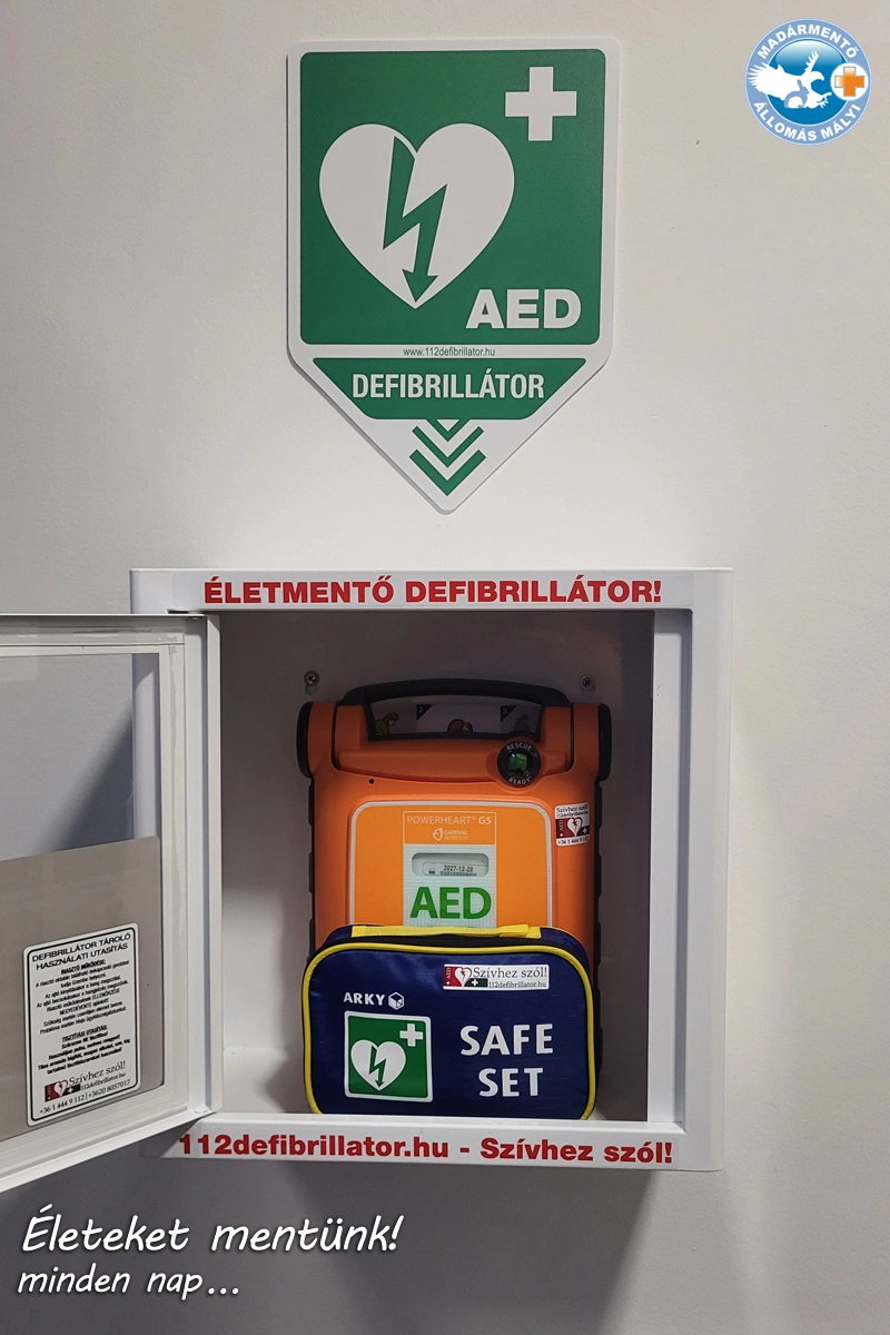 defibrillatormalyi2.jpg