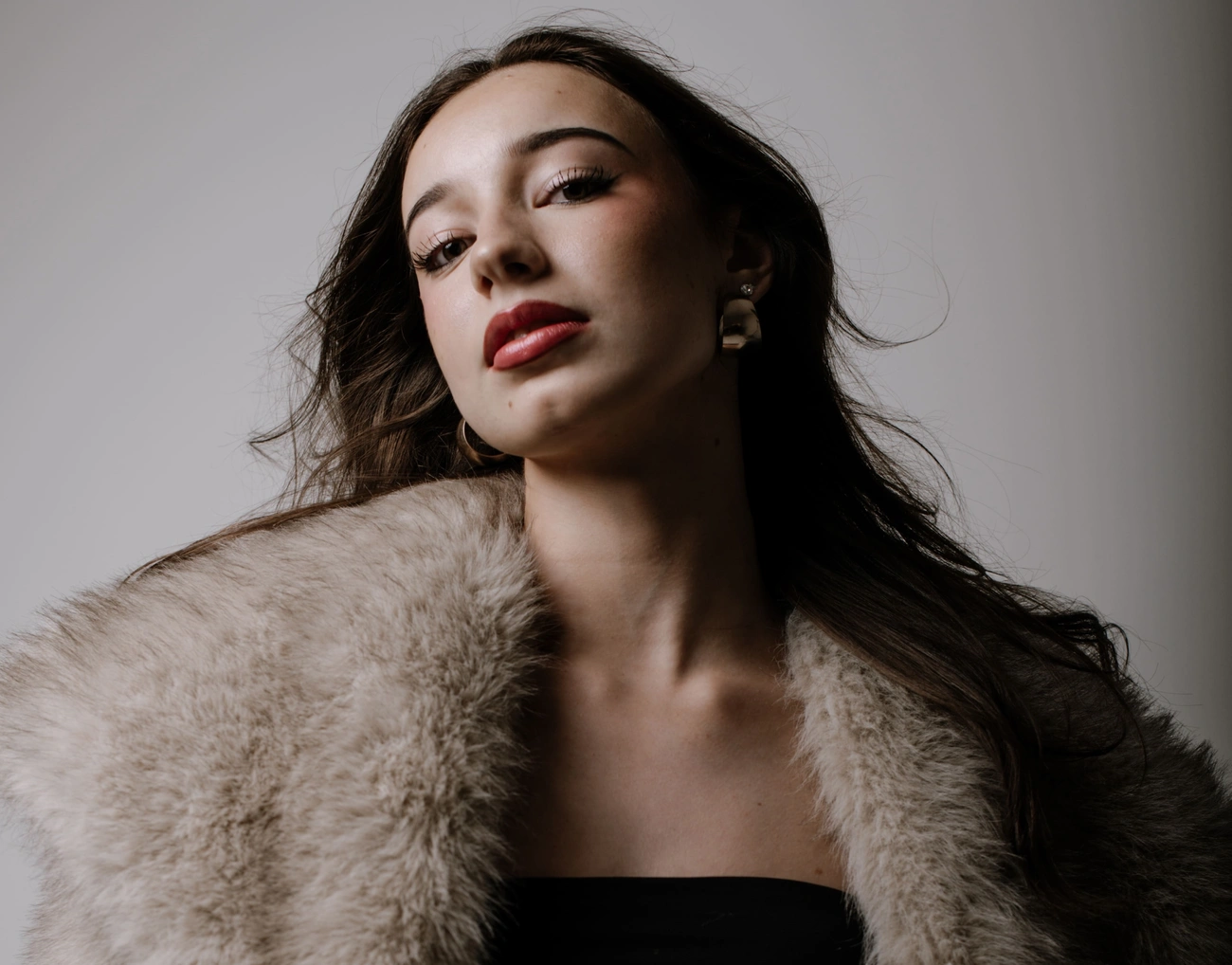 Flow Models aloldali