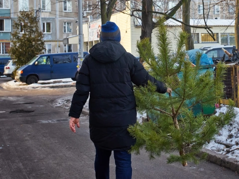 fenyőfa gyűjtés MiReHu