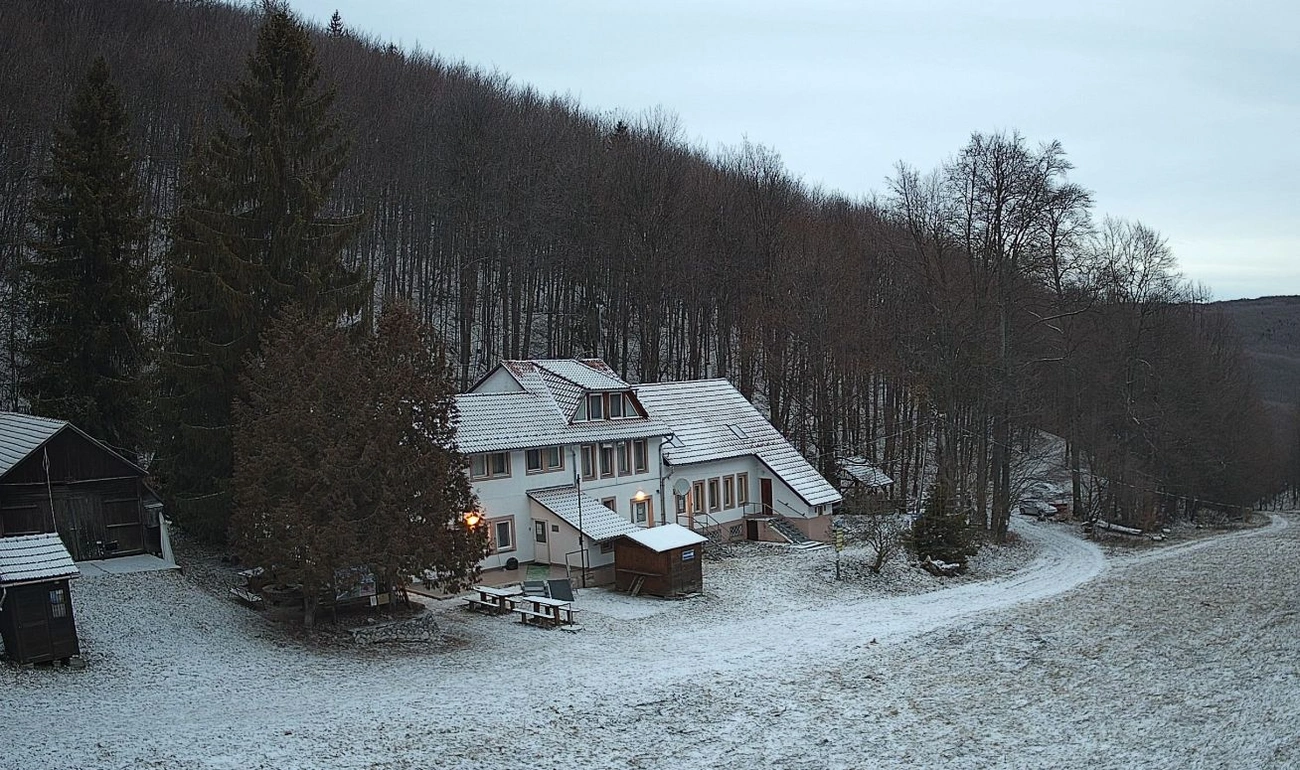 Bánkút kifehéredett. Fotó: webkamera