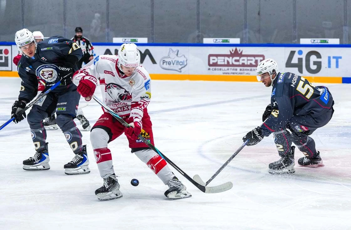 BJA-HC - DVTK Jegesmedvék