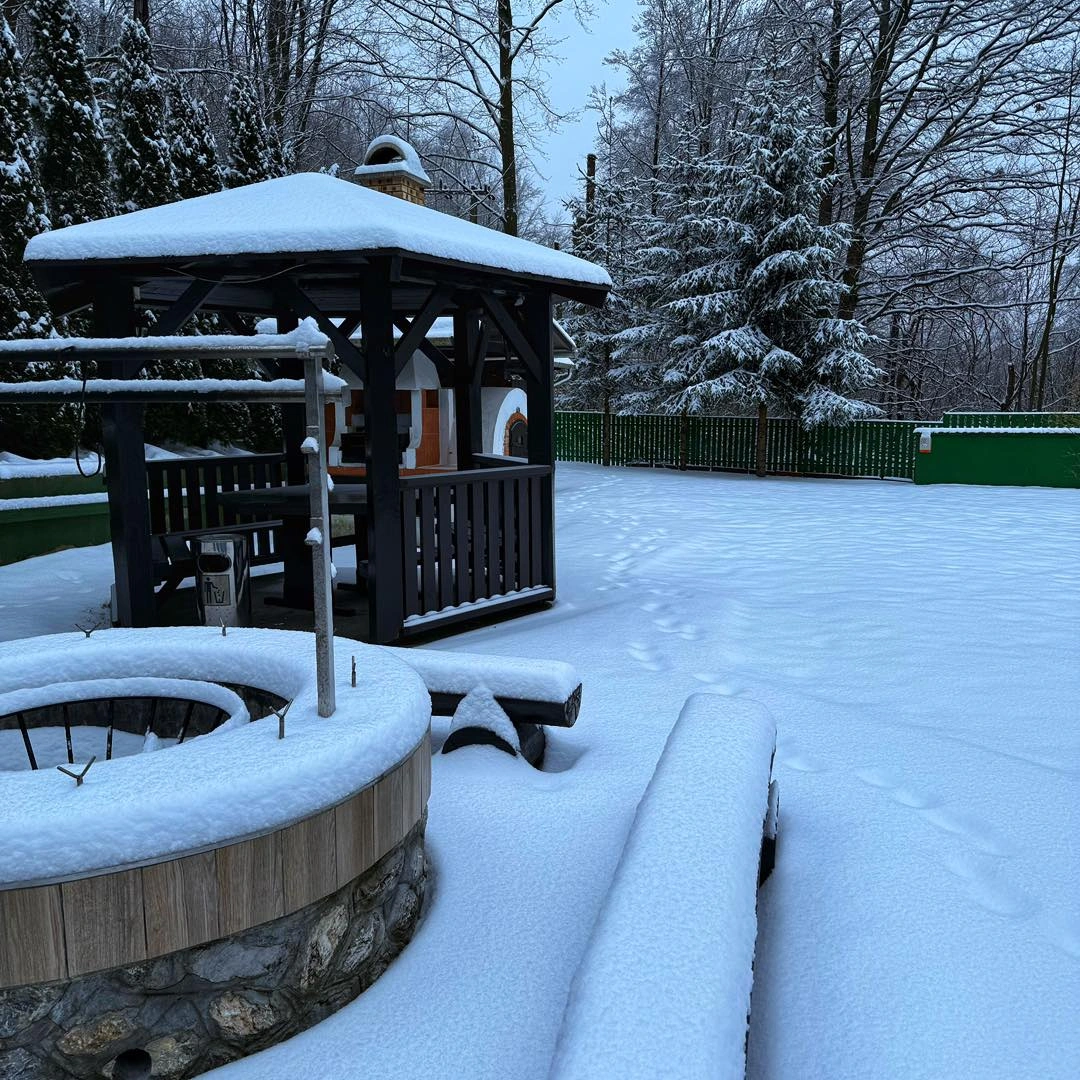 612181028_1358846209588182_6414077178140829048_n.jpg (240.93 KB)