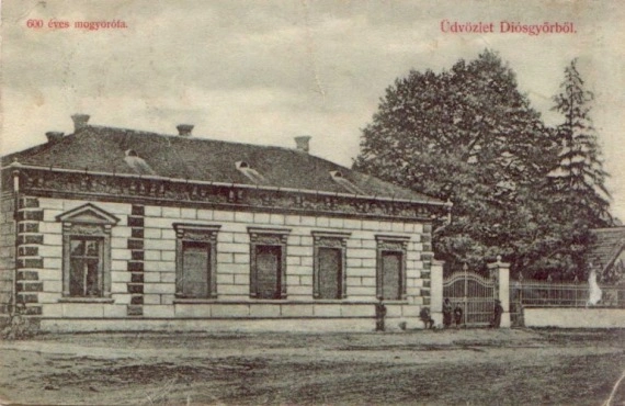 06_diosgyor_600_eves_mogyorofa44.jpg