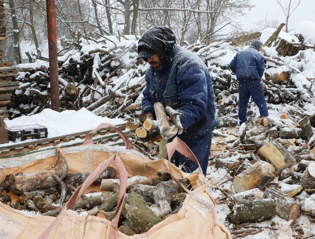 szociális tűzifa. Fotó: Mocsári László