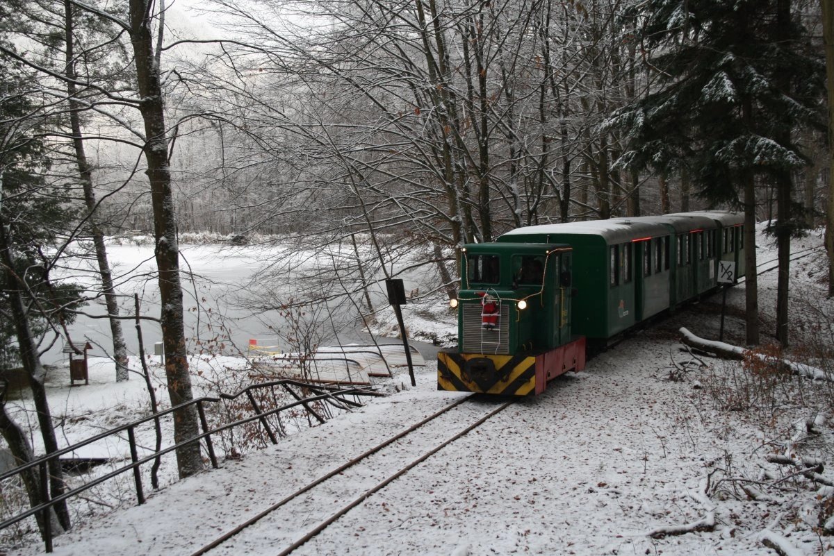Zemplén Kőkapu Pálházi Állami Erdei Vasút. Fotó: ÉSZAKERDŐ Zrt.