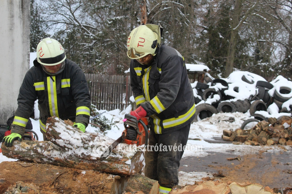  Zúgtak a fűrészek Borsodban