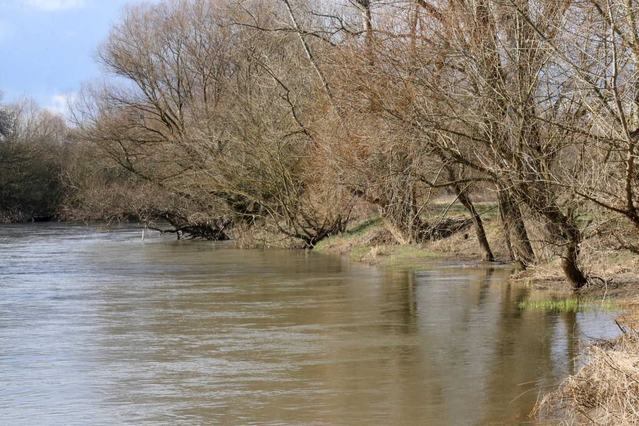 Sajó folyó, 2024. Fotó: Mocsári László