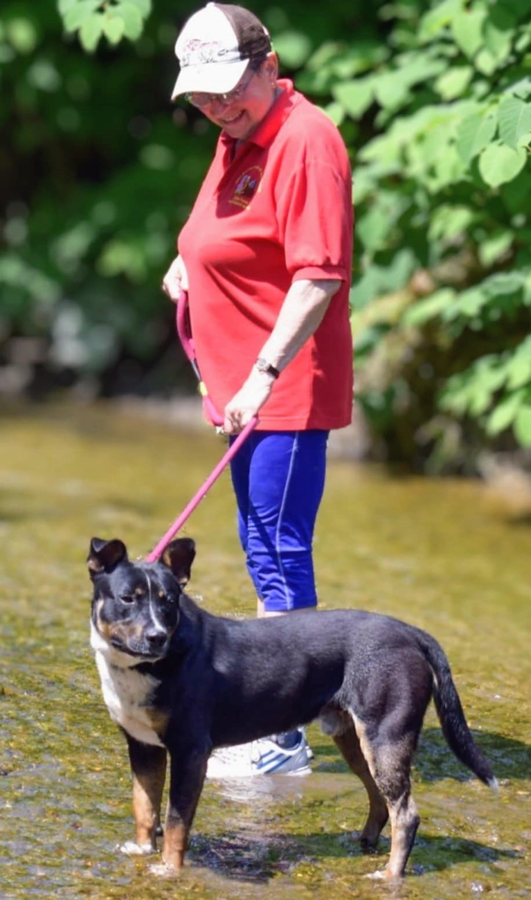 önkéntes sétáltató. Fotó: Miskolci Második Esély Állatvédő Alapítvány Facebook
