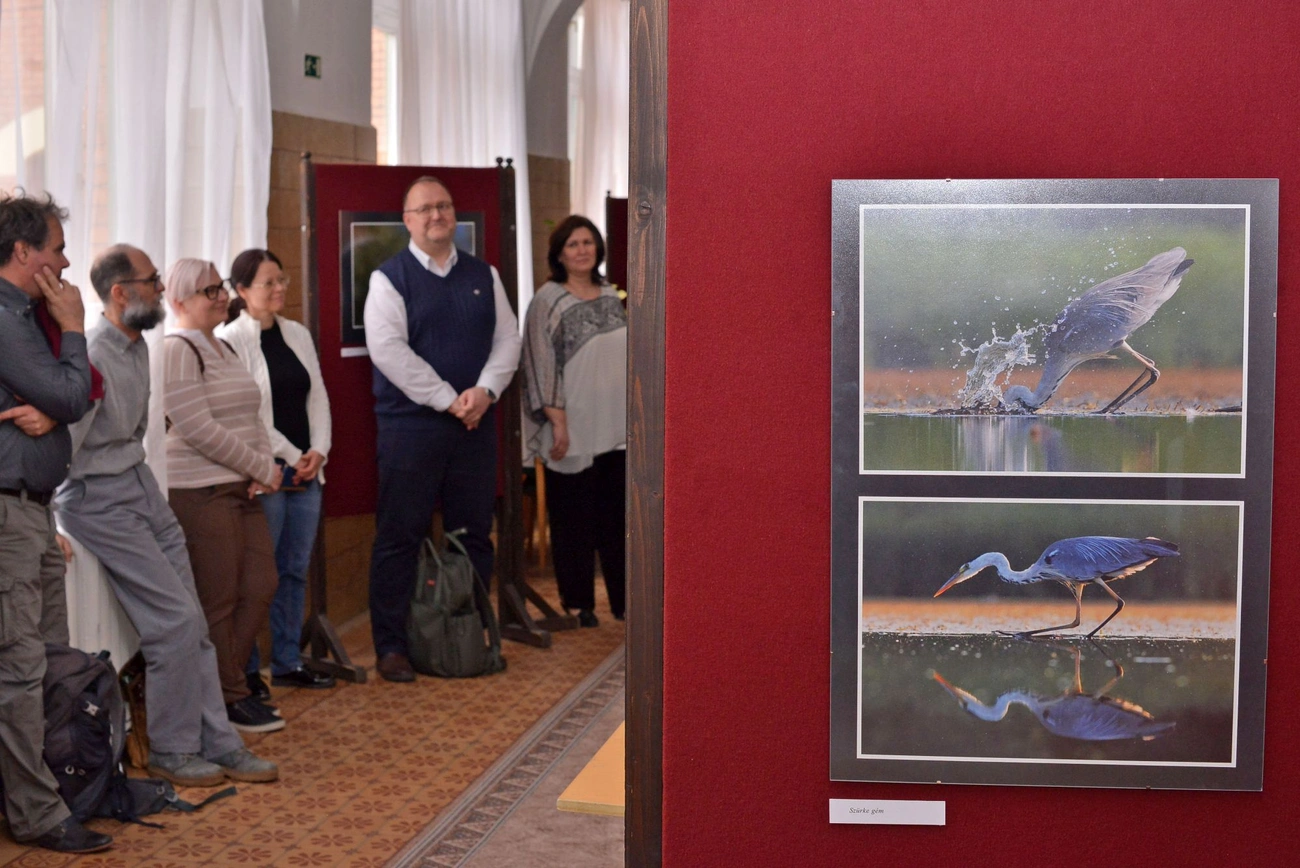 Kaszás Tamás A kezdet című fotókiállítása. Fotó: Osztie Tibor