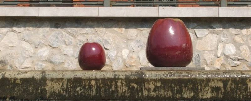 Krautz Gusztáv almái a Szinva teraszon. Fotó: Facebook