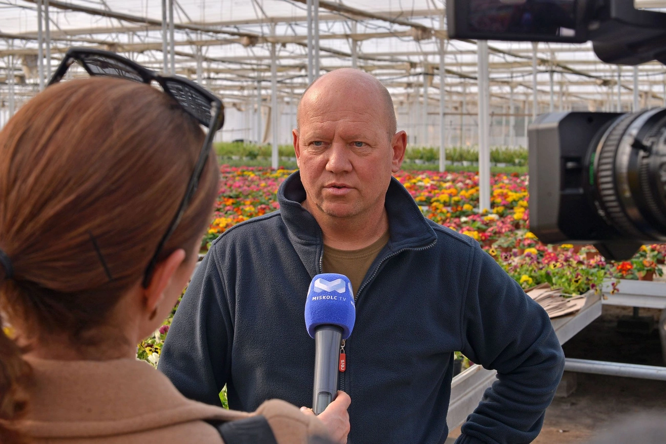 Nőnapi virágok. Fotó: Osztie Tibor