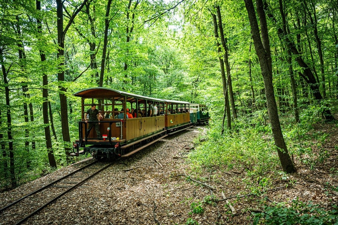 Ehető erdő díjátadó Berlinben. Fotó: VH