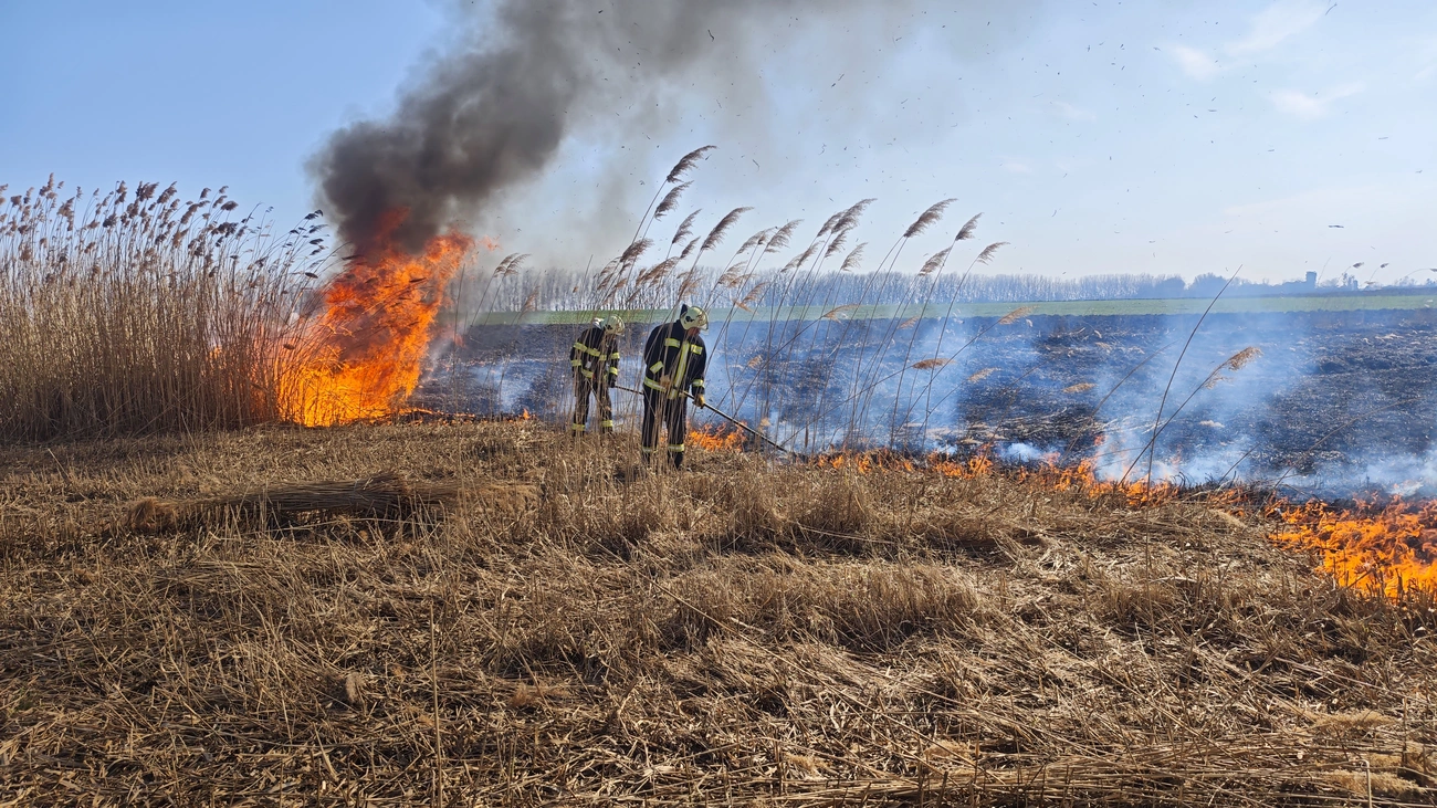 tűz katasztrófavédelem tűzoltó