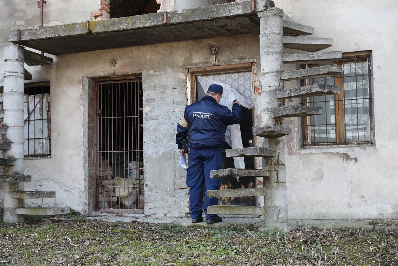 rendészeti ellenőrzés