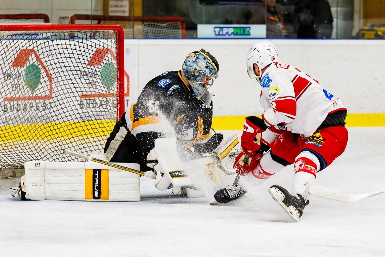 jégkorong. Fotó: magánarchívum