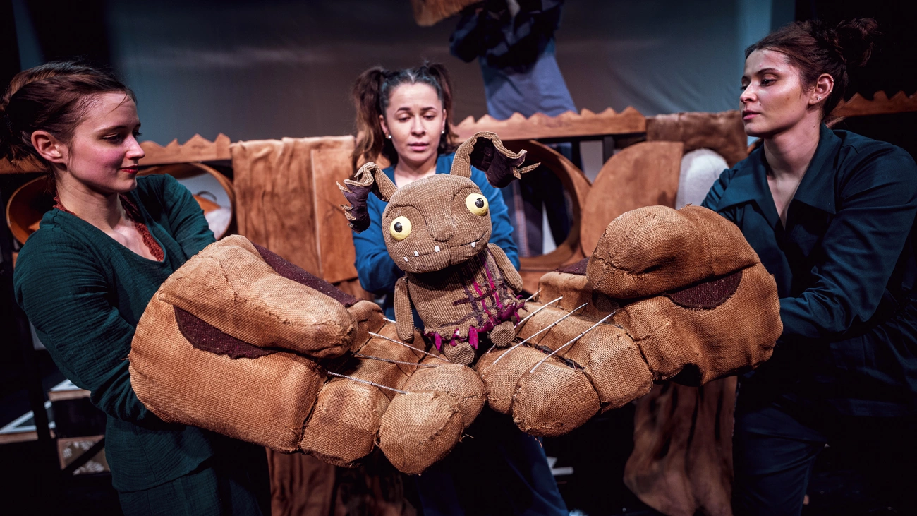 Műveletek 1000309608.jpg (11.46 MB)