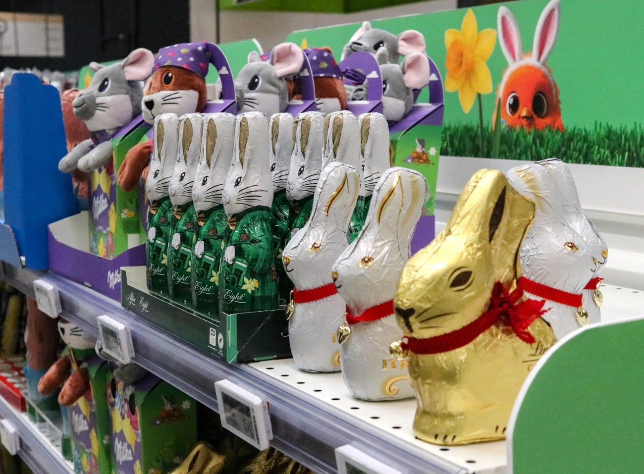 Húsvéti csokinyúl minden mennyiségben. Fotó: Mocsári László