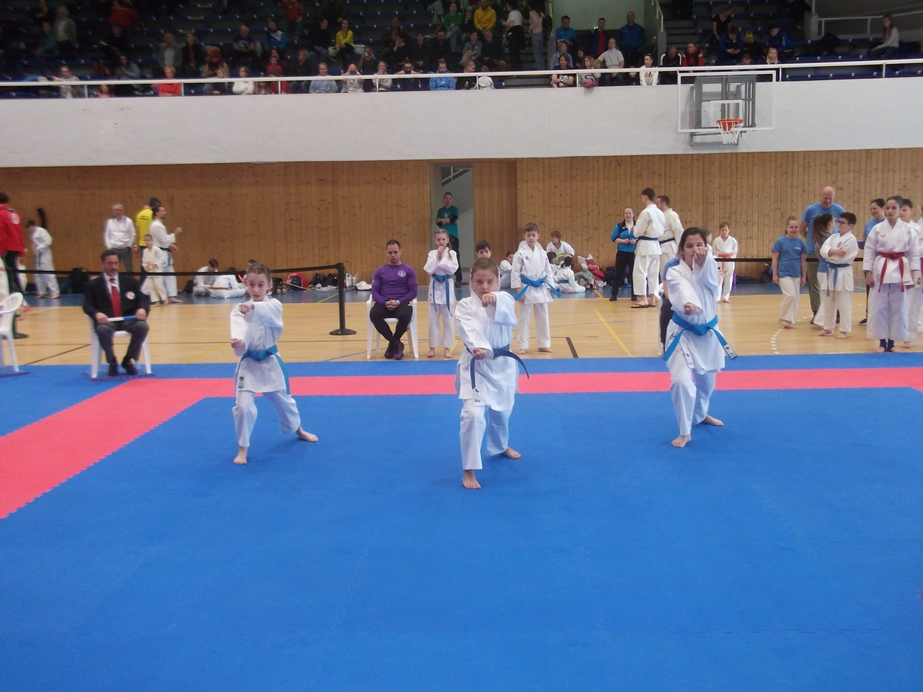 Csaknem háromszázan versenyeznek az egyetemi körcsarnokban. Fotó: KT  