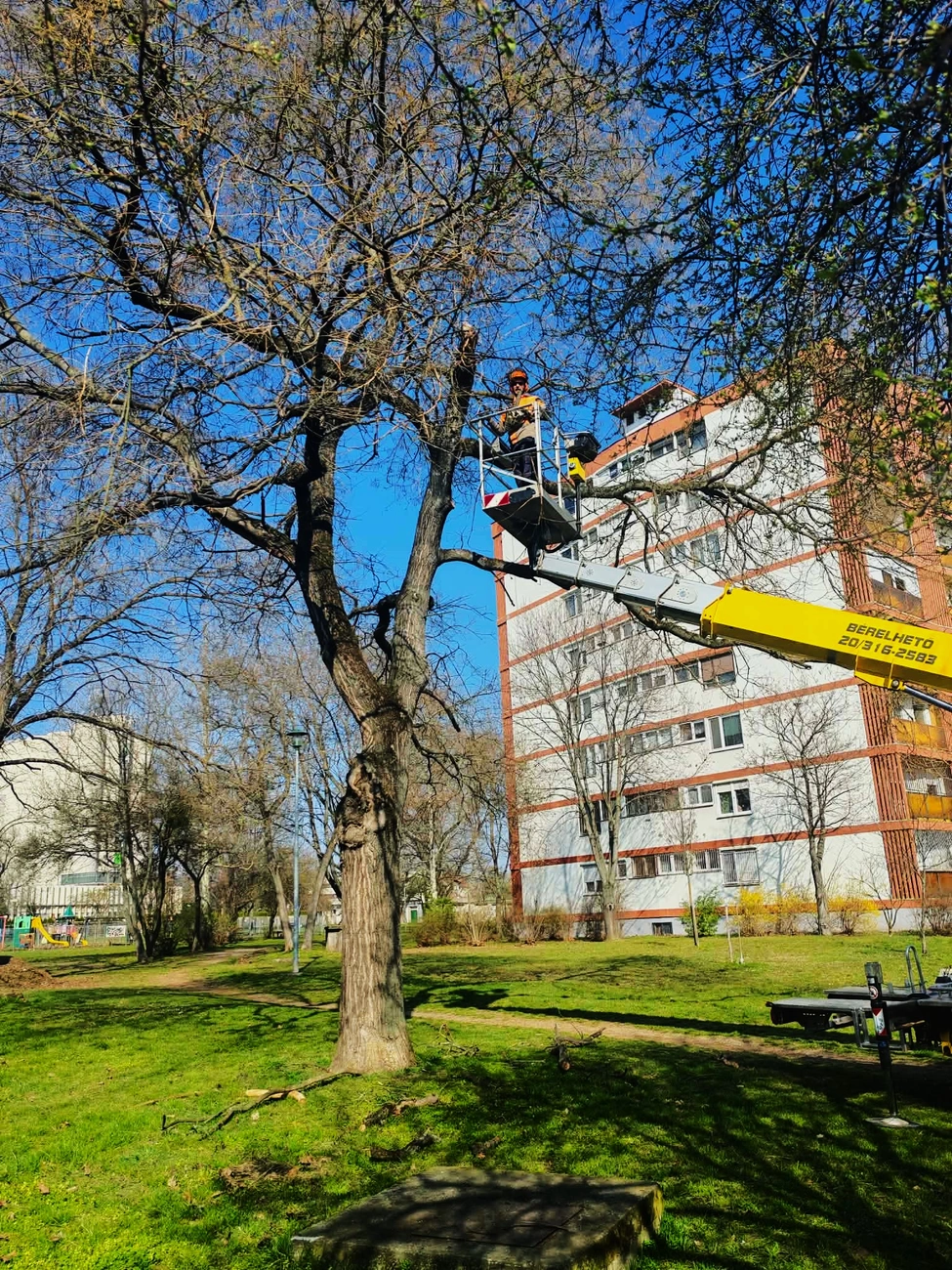 Gallyazás. Fotó: Miskolci Városgazda Facebook