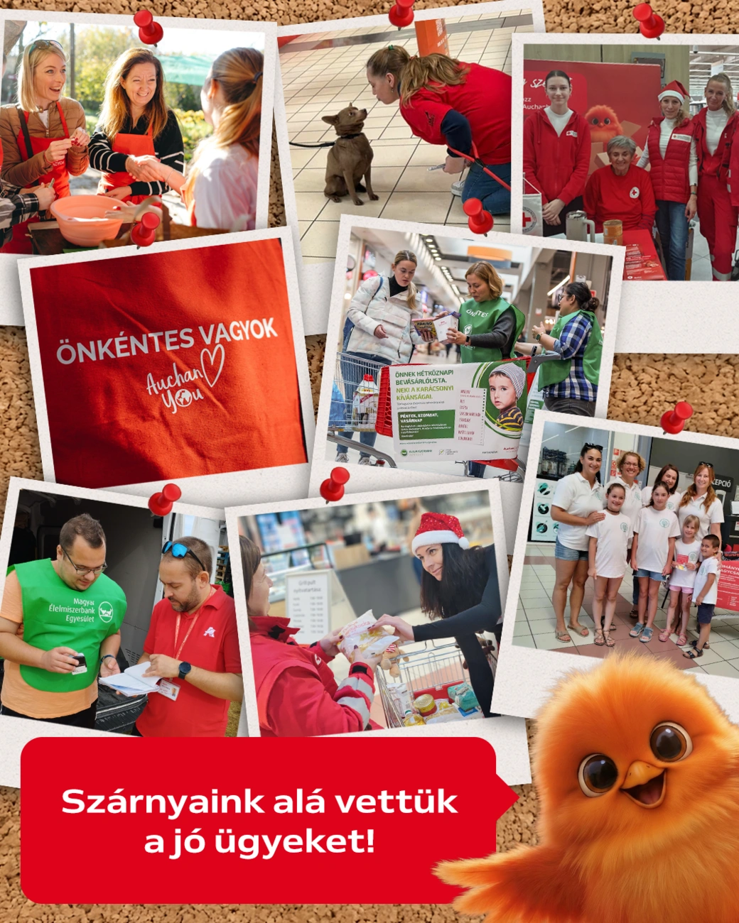 Auchan plakát 260420