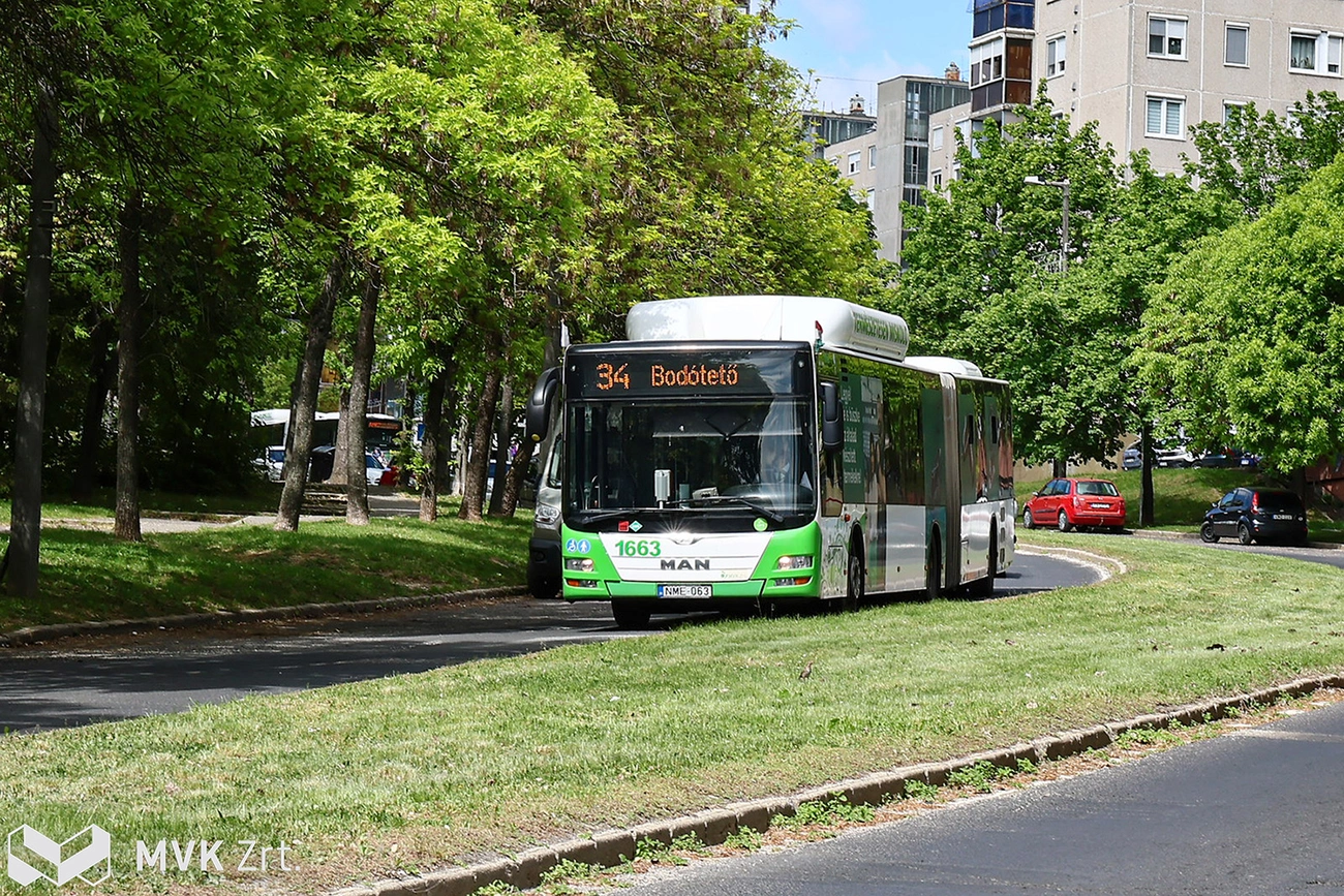 34_szentgyorgy_ut_bodoteto_mvk.jpg