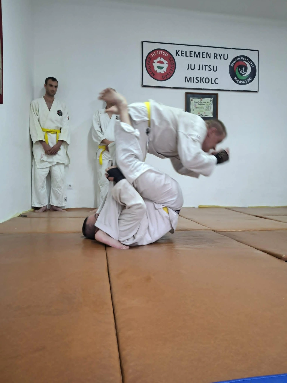 Kelemen Ryu miskolci ju jitsu iskola