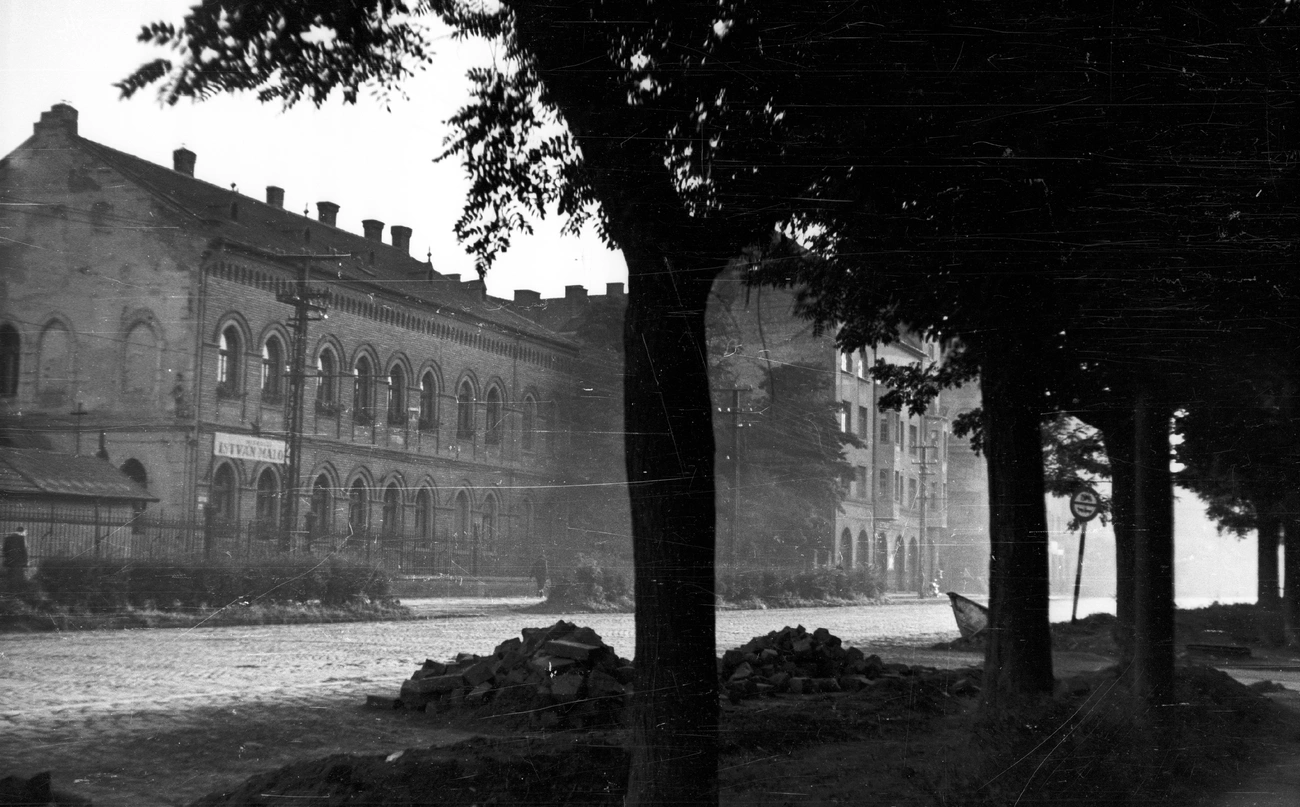 Zsolcai kapu 1960