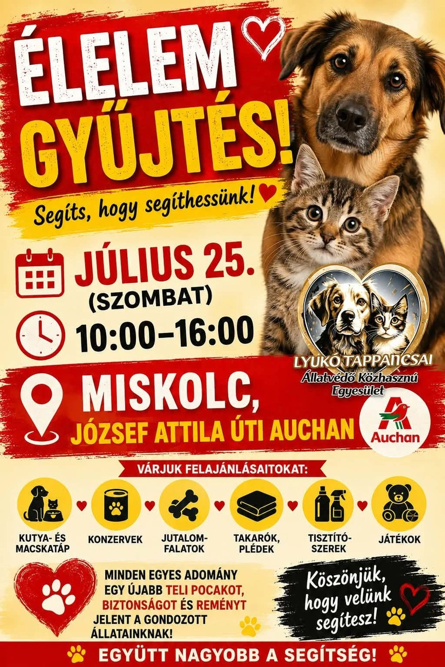 Lyukó Tappancsai adománygyűjtés plakát