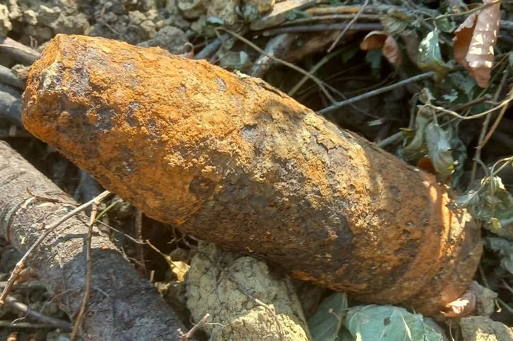 bomba Szimbiózis Alapítvány Baráthegyi Majorsága