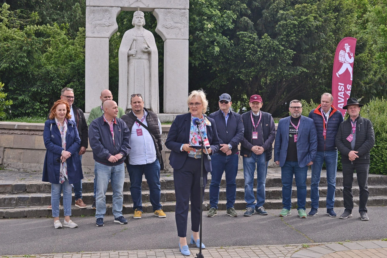 Borangolás megnyitó