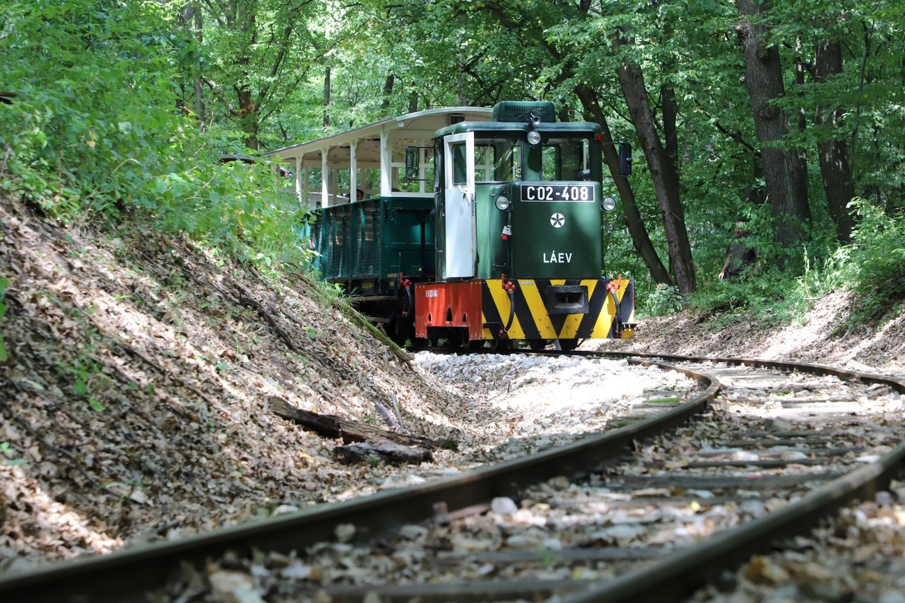 Erdei Gasztroexpressz élménytúra