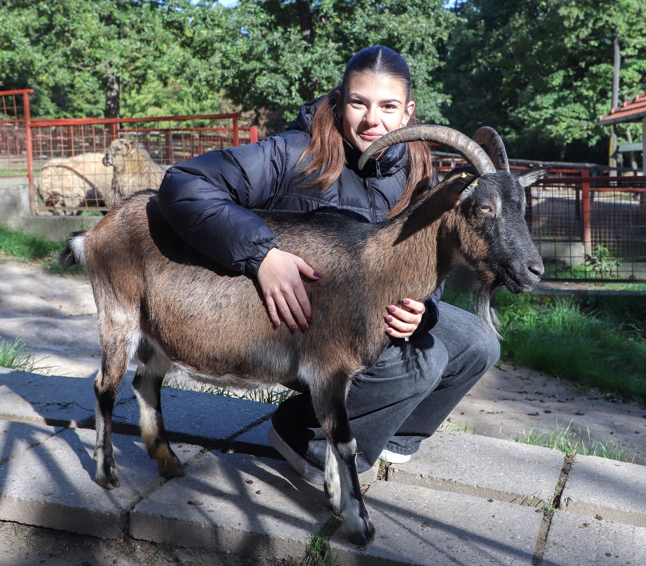 Zoománia vetélkedő a Miskolci Állatkertben