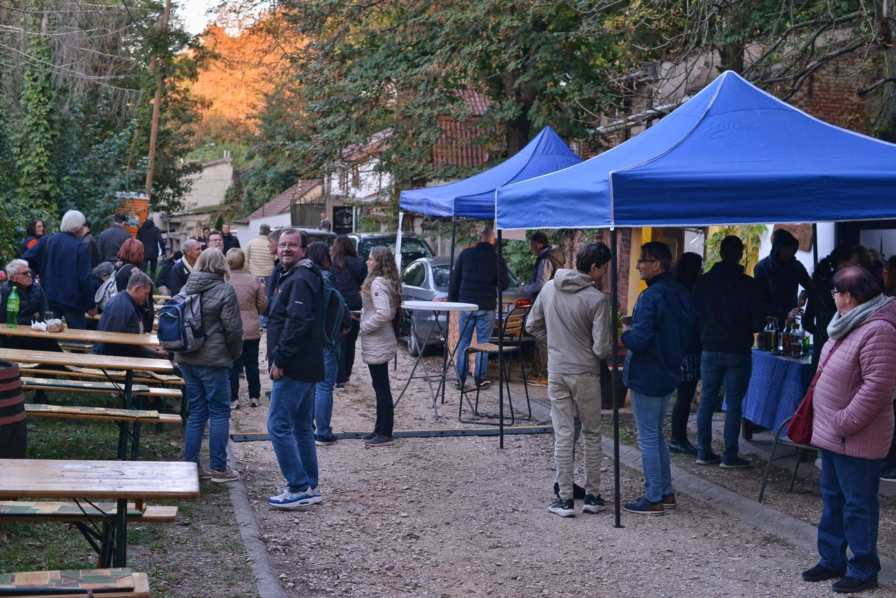 Kvaterka - Margit Pince