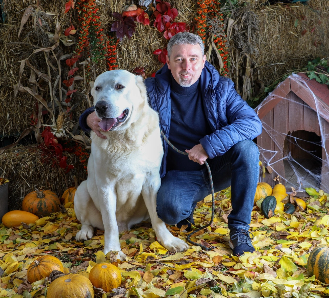 Jótékonysági kutyafotózás a Miskolci Állategészségügyi Telepen