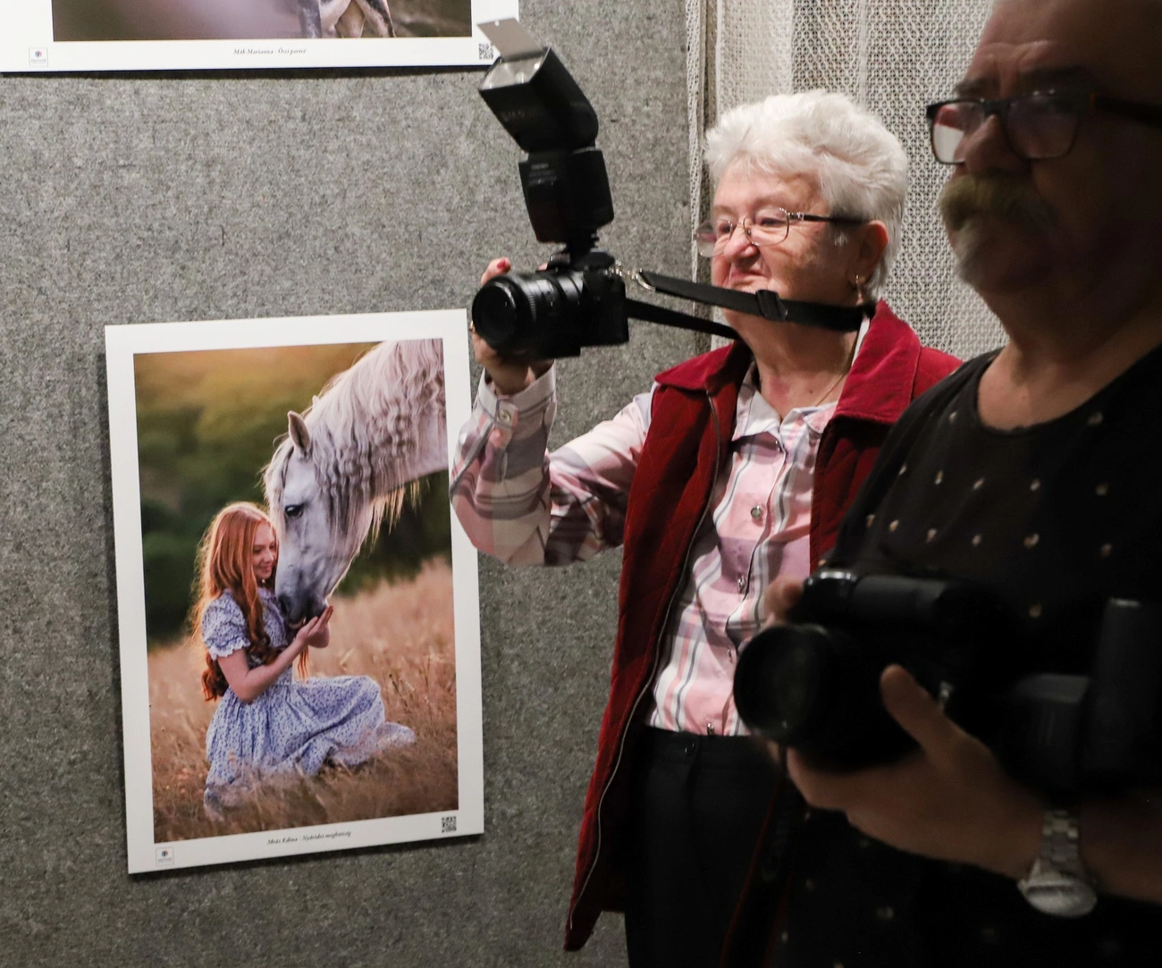 Képolvasók Fotóklub Egyesület kiállítása az Ifiházban