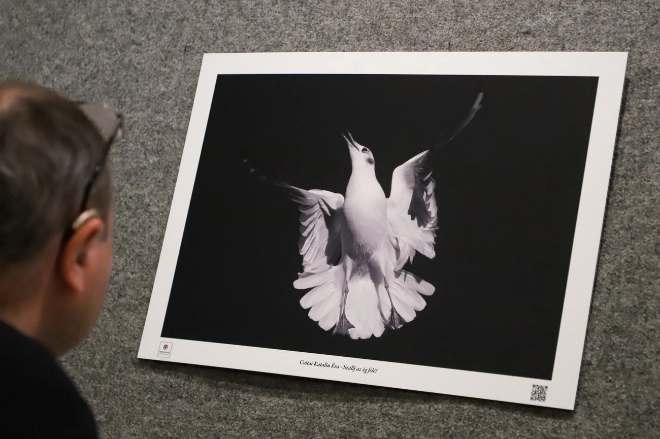 Képolvasók Fotóklub Egyesület kiállítása az Ifiházban