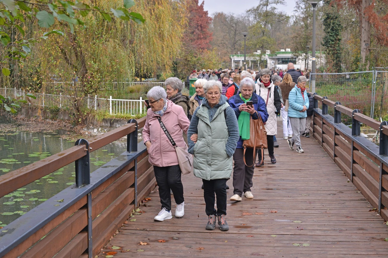 Séta az egészséges tüdőért. Fotó: Osztie Tibor