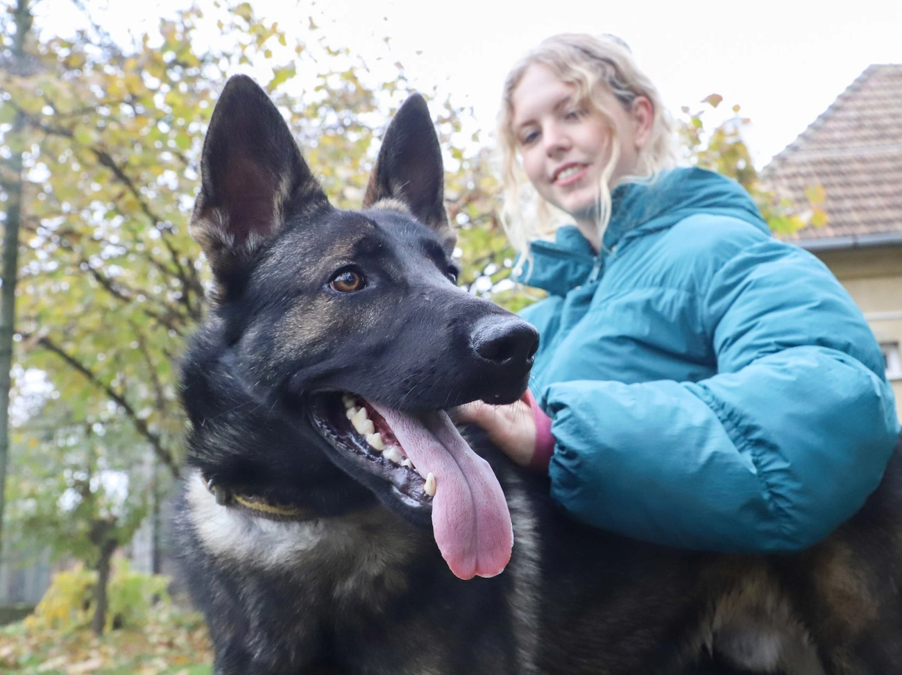 Nyílt nap a Miskolci Állategészségügyi Telepen