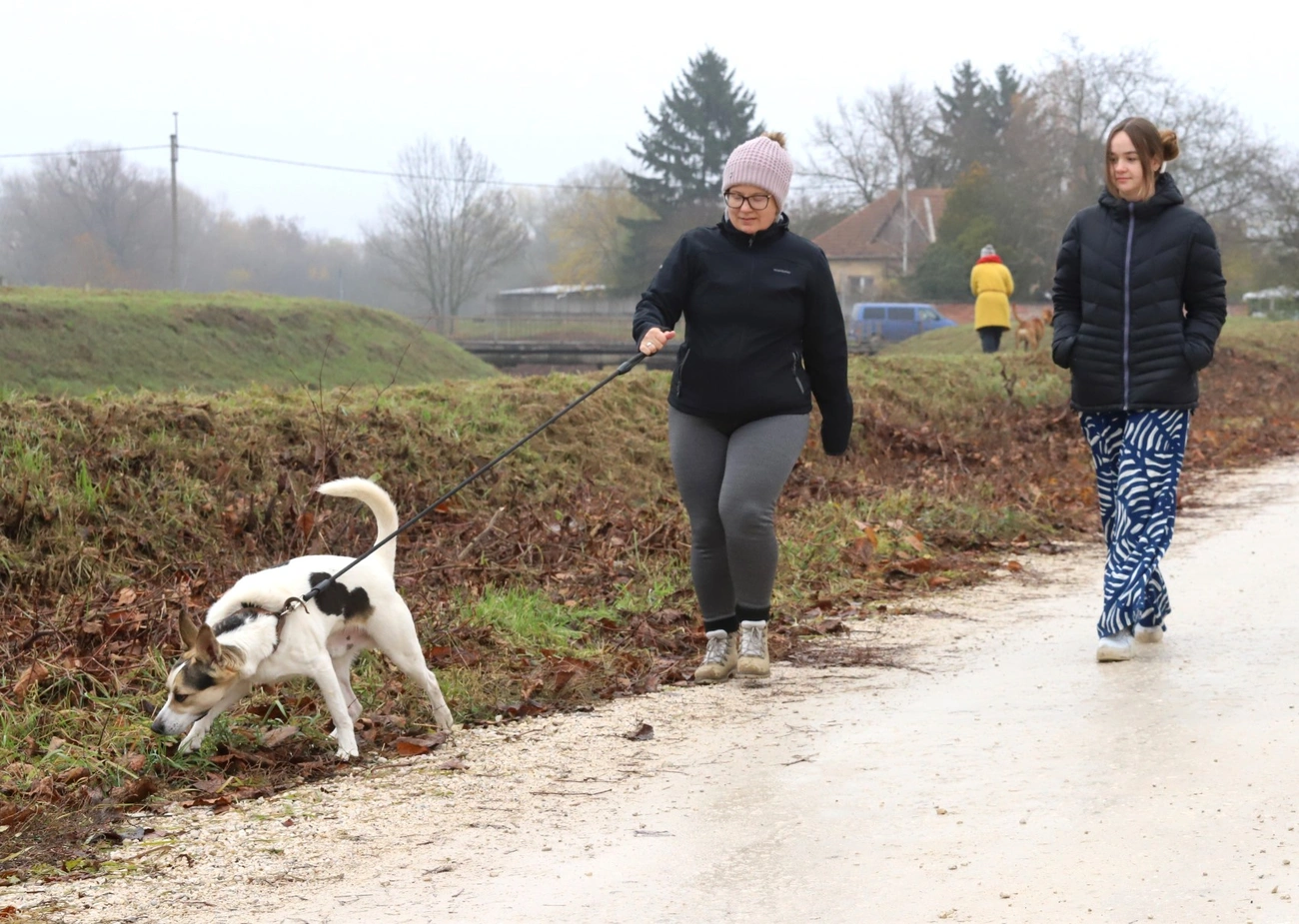 Nyílt nap a Miskolci Állategészségügyi Telepen