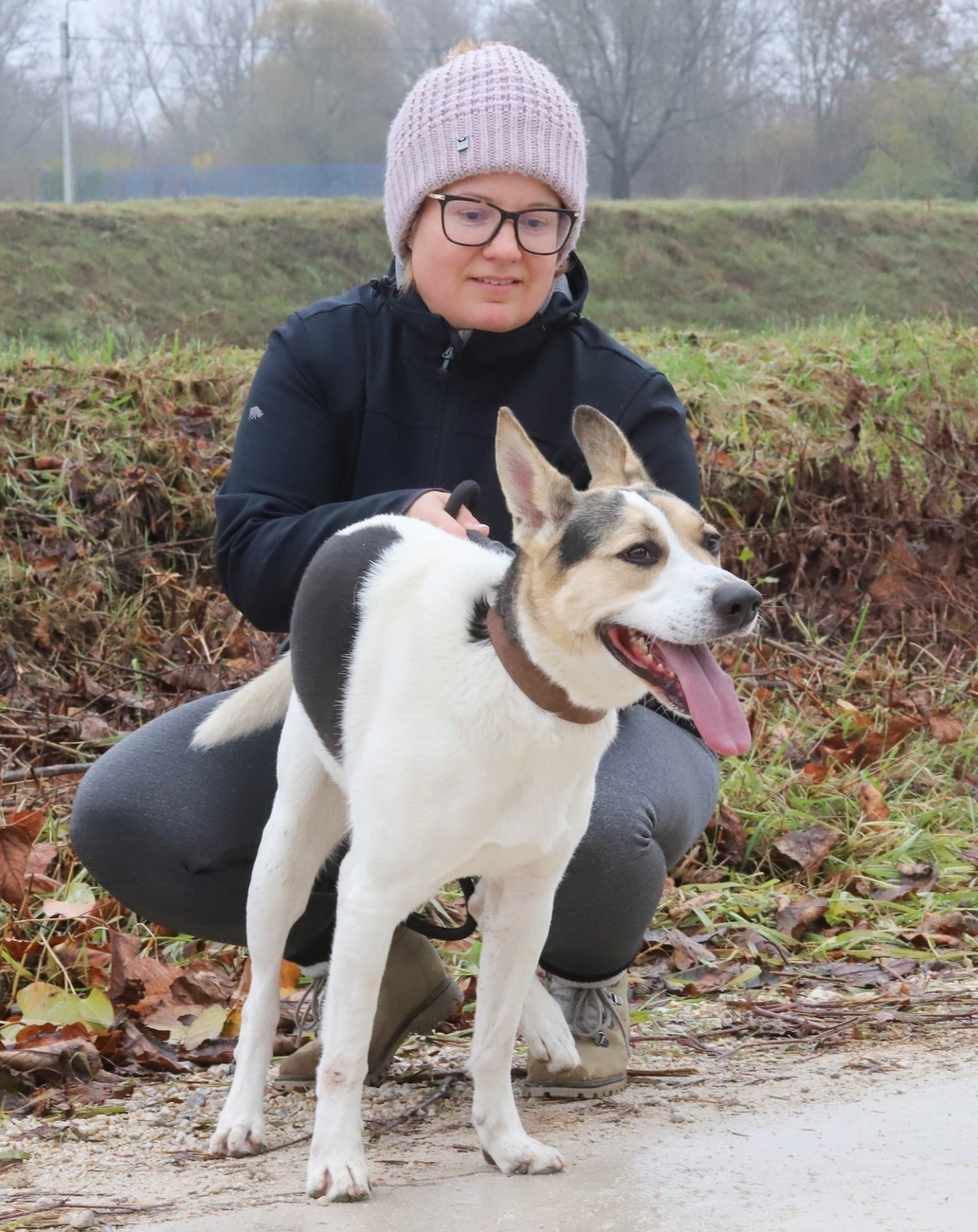 Nyílt nap a Miskolci Állategészségügyi Telepen