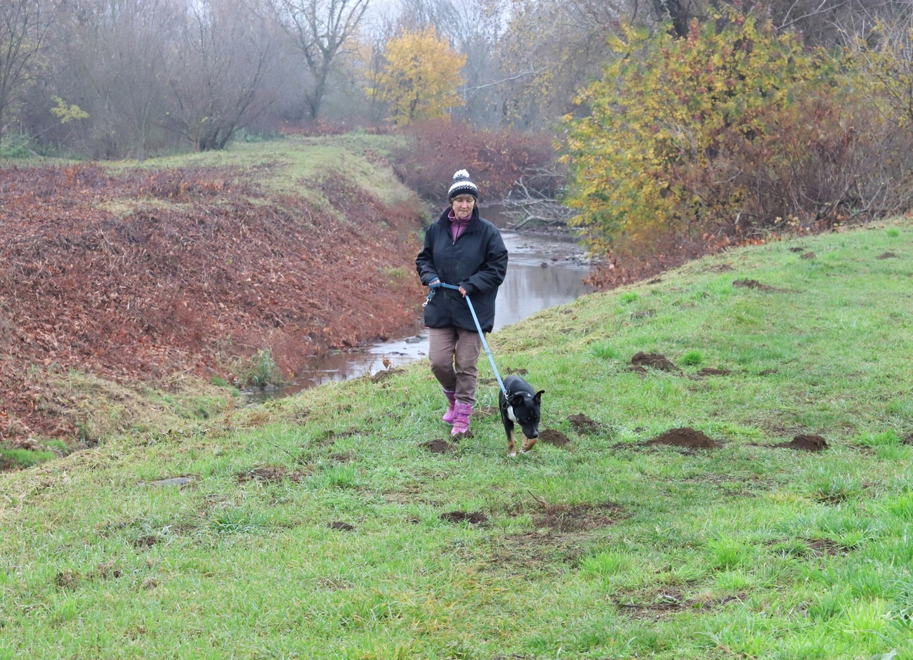 Nyílt nap a Miskolci Állategészségügyi Telepen