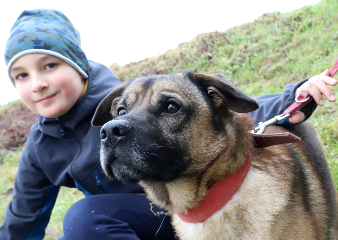 Nyílt nap a Miskolci Állategészségügyi Telepen