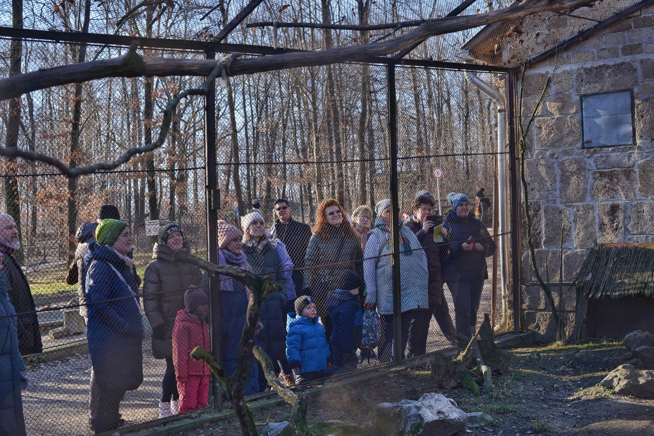 Állatok karácsonya